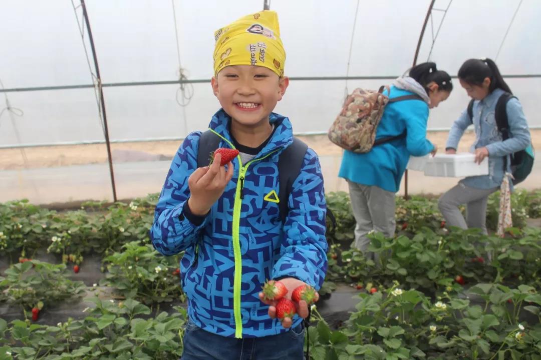 未来星【草莓运动会】—超有趣的研学之旅开始报名啦！