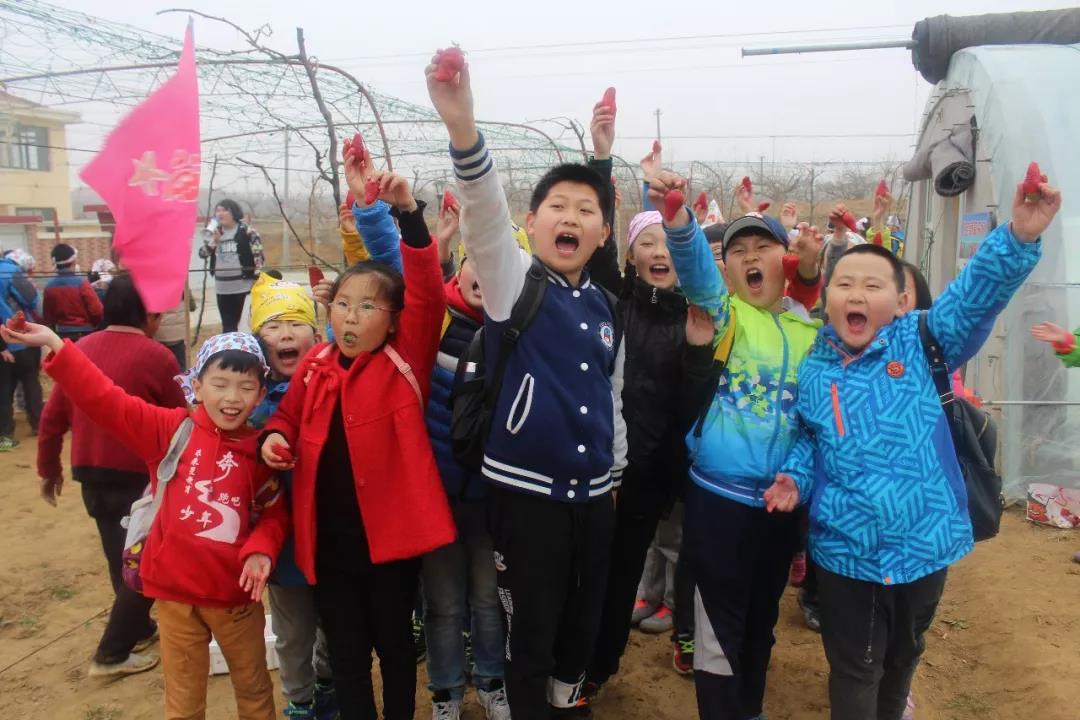 未来星【草莓运动会】—超有趣的研学之旅开始报名啦！