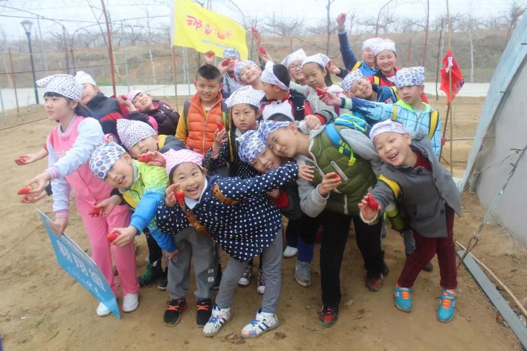 未来星【草莓运动会】—超有趣的研学之旅开始报名啦！
