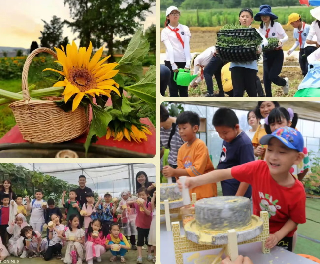 “劳在春田里，动在秋收季”未来星国庆研学等你来！